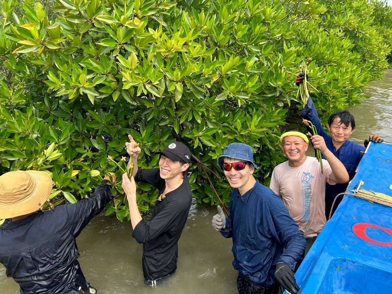 Pick Up Mangrove Seeds